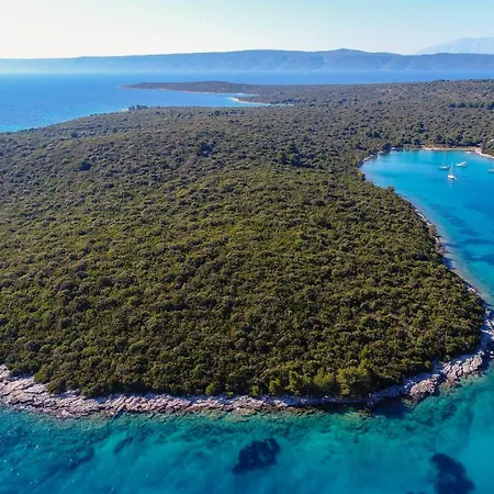 Ivona * לוביסטה