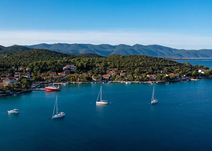 Ivona לוביסטה