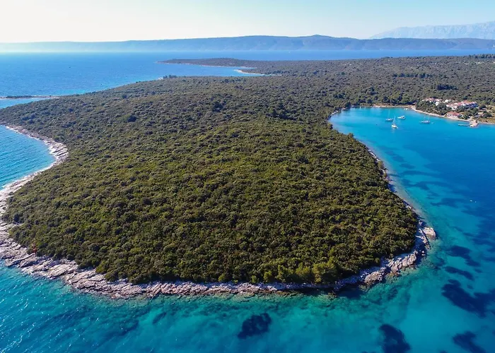 Ivona * לוביסטה